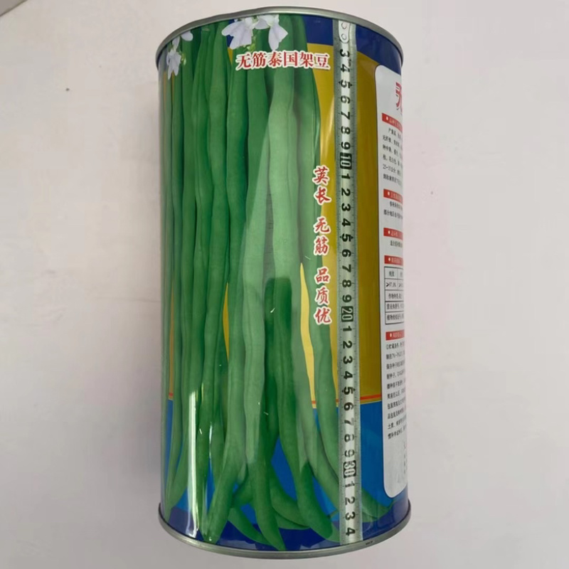 无筋豆泰国豆种子抗热品种早熟品种架豆种子