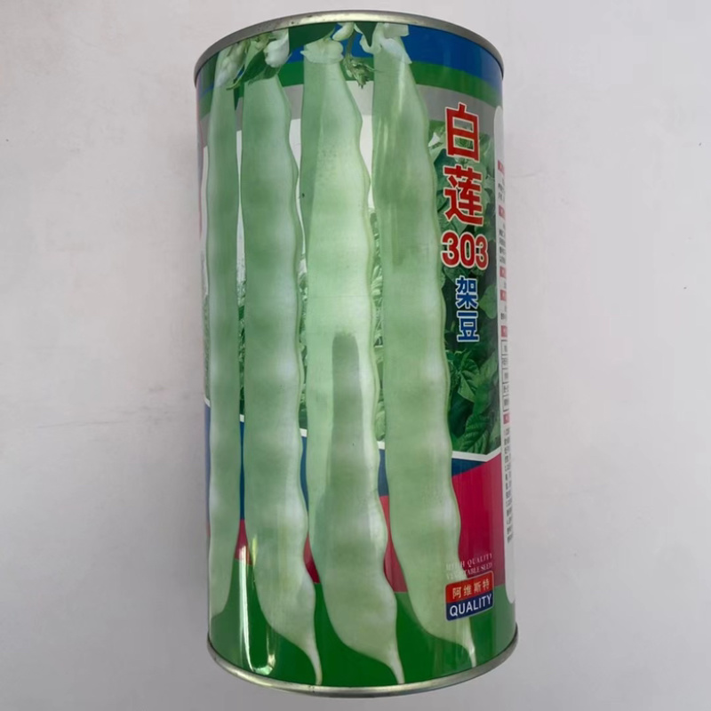 无筋豆泰国豆种子抗热品种早熟品种架豆种子