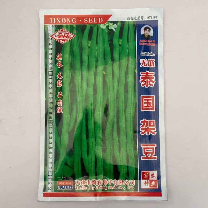 无筋豆泰国豆种子抗热品种早熟品种架豆种子