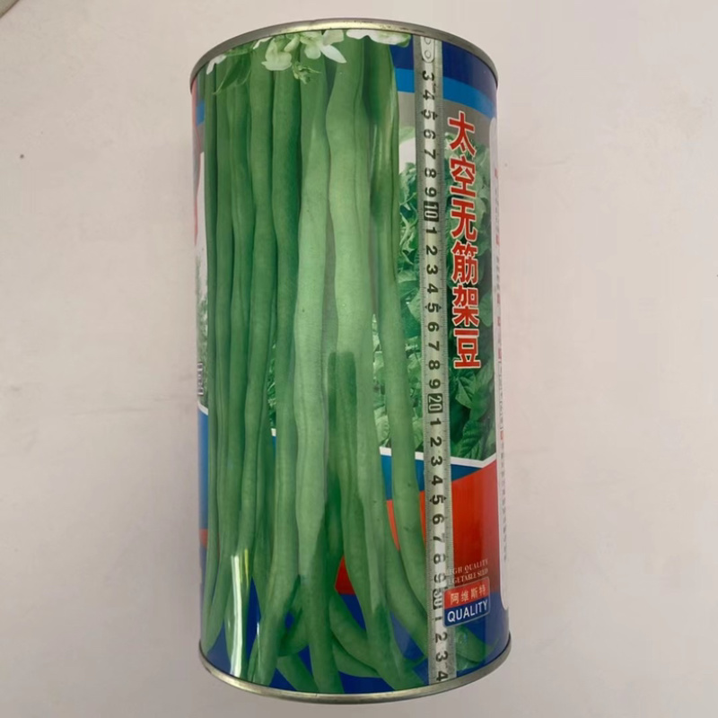 无筋豆泰国豆种子抗热品种早熟品种架豆种子