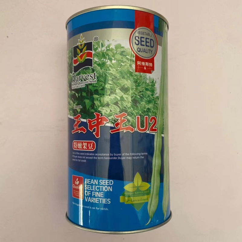 无筋豆泰国豆种子抗热品种早熟品种架豆种子