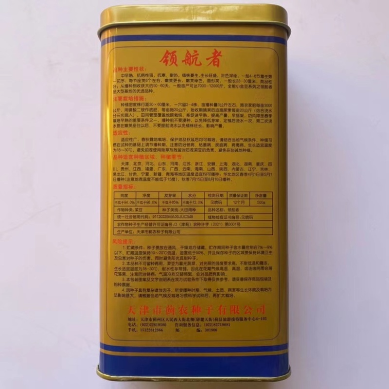 小金豆种子四季架豆中早熟品种种子