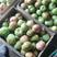 河北省昌黎县水果口感西红柿大量上市需要的联系