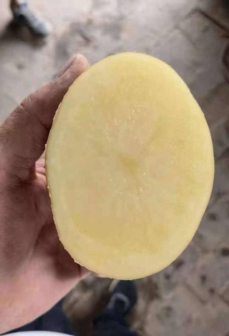 精品黄心土豆等各种品种，可视频看货商超品质欢迎咨询