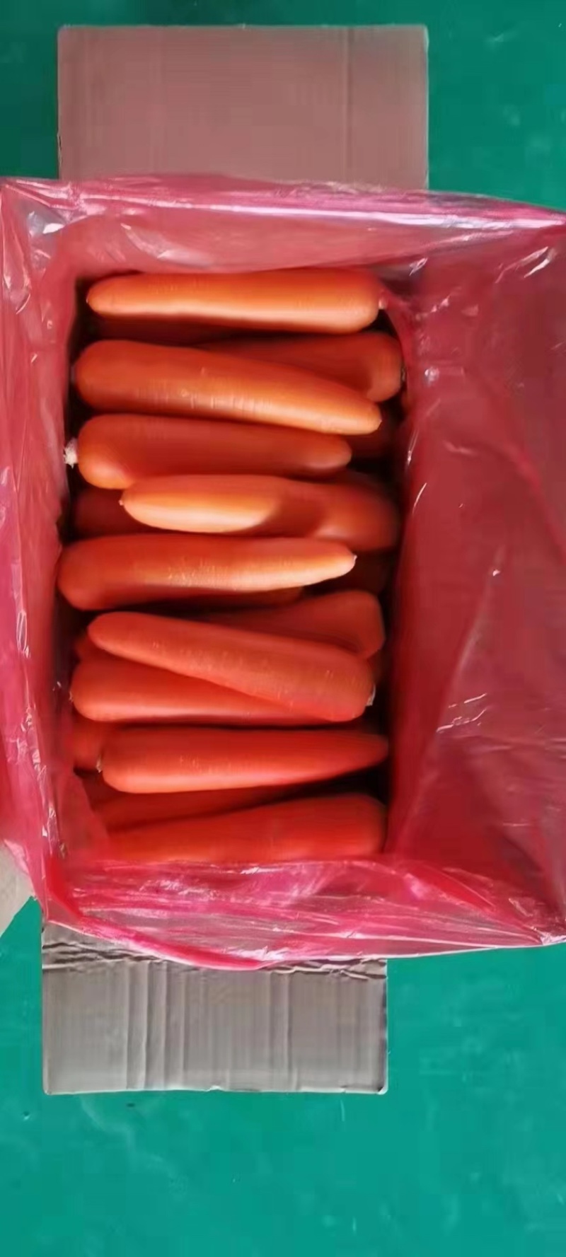 热卖秤杆胡萝卜商超品质可视频看货对接全国
