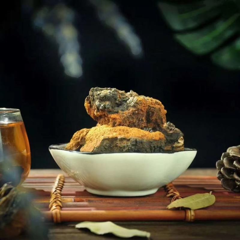 白桦茸桦树茸