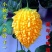 水果小癞瓜种子赖葡萄赖瓜水果种籽四季阳台爬藤蔬菜种孑