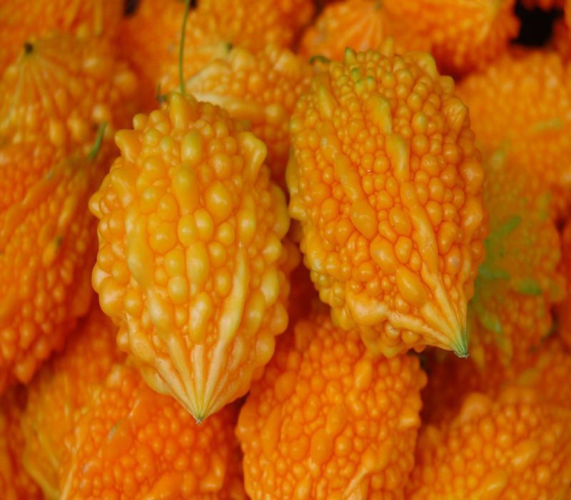 水果小癞瓜种子赖葡萄赖瓜水果种籽四季阳台爬藤蔬菜种孑