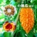 水果小癞瓜种子赖葡萄赖瓜水果种籽四季阳台爬藤蔬菜种孑