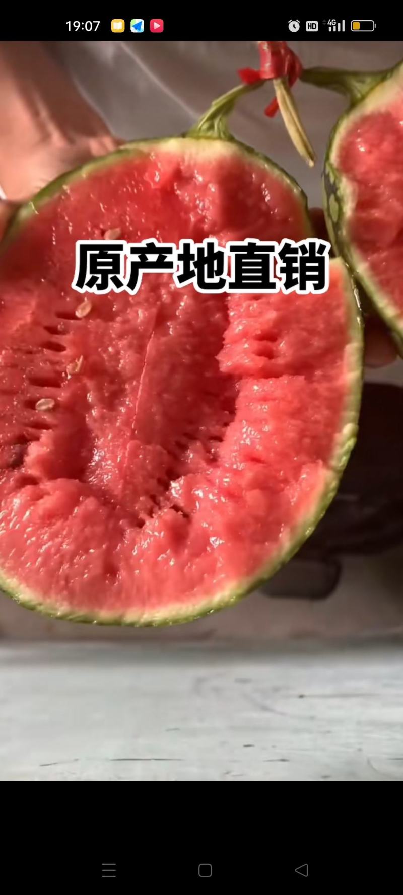 山东产地直发2k西瓜价格优惠价格美丽一手货源全国可发