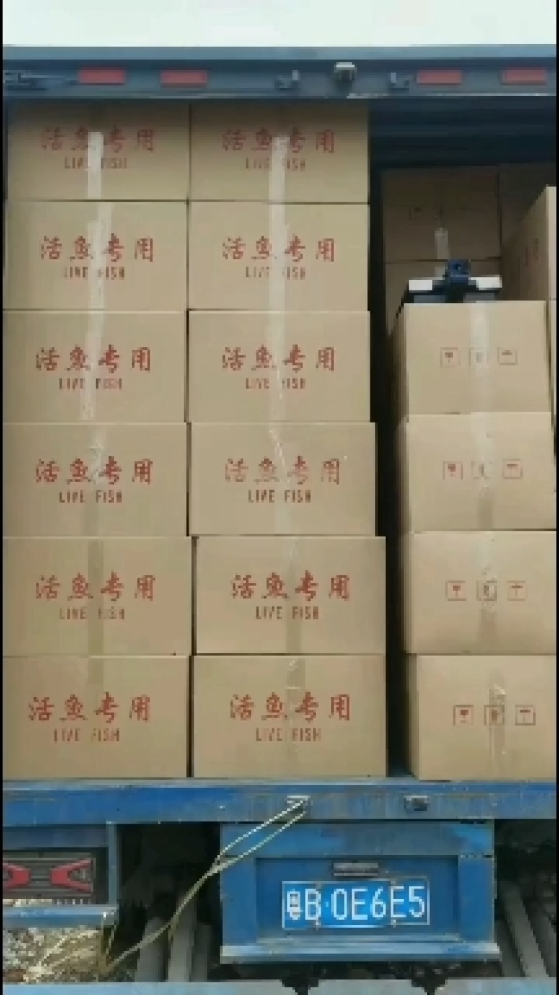 优质草鱼苗，草鲩鱼苗，脆肉鲩鱼苗，四大家鱼苗，草鱼水花
