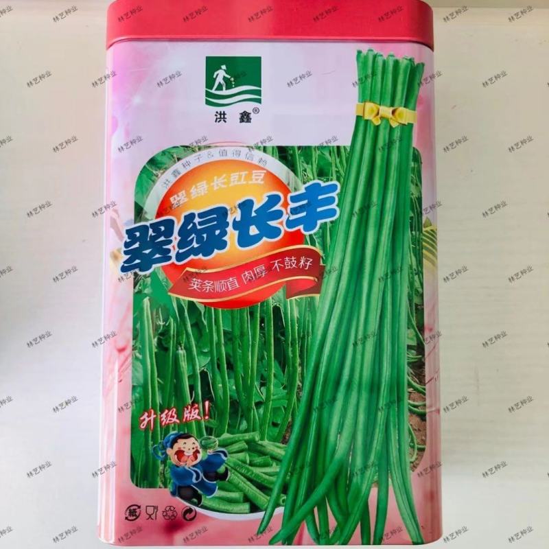洪鑫翠绿长丰长豇豆种子荚条顺直肉厚不鼓籽早中熟长豆角种籽