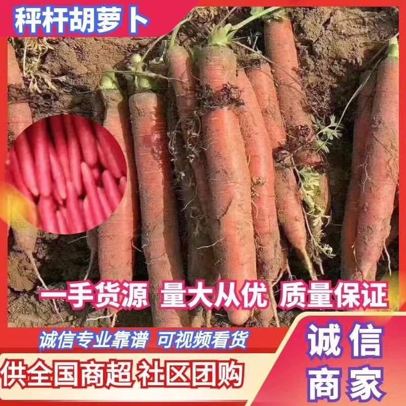 大荔县三红胡萝卜大量供应一手货源，量大从优欢迎新老客