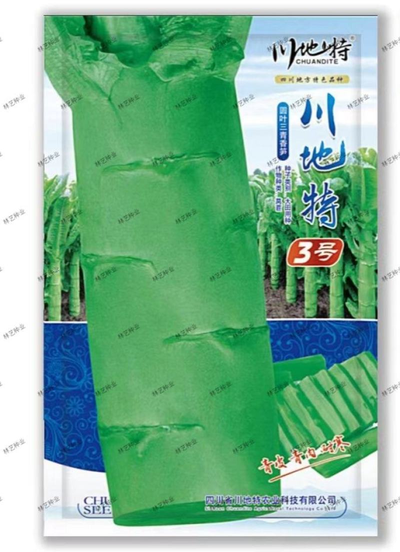 川地特3号香莴苣菜子圆叶绿皮青肉耐寒春秋可种植基地专用