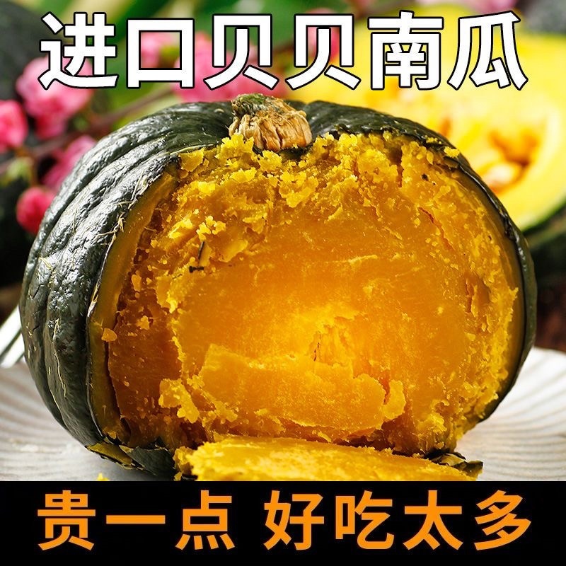 山东正宗贝贝南瓜一件代发批发整车发板栗南瓜爆粉