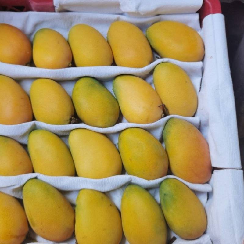 小台芒一级，电商