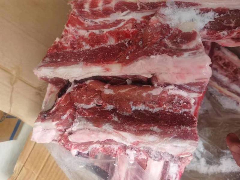 羔羊满肉羊蝎子现货，货品新鲜，肉多可加工切断，可发样品