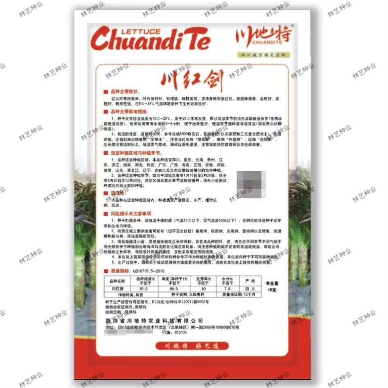 川红剑四季红尖叶香笋青皮绿肉香莴笋种子高产耐热耐寒春秋冬