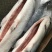 冷冻三文鱼，5-6，6-7，7-8全规格长期供应