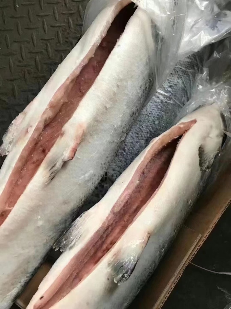 冷冻三文鱼，5-6，6-7，7-8全规格长期供应