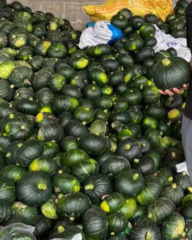 板栗南瓜，基地直出，口感好，价格优美，有量需要联系。