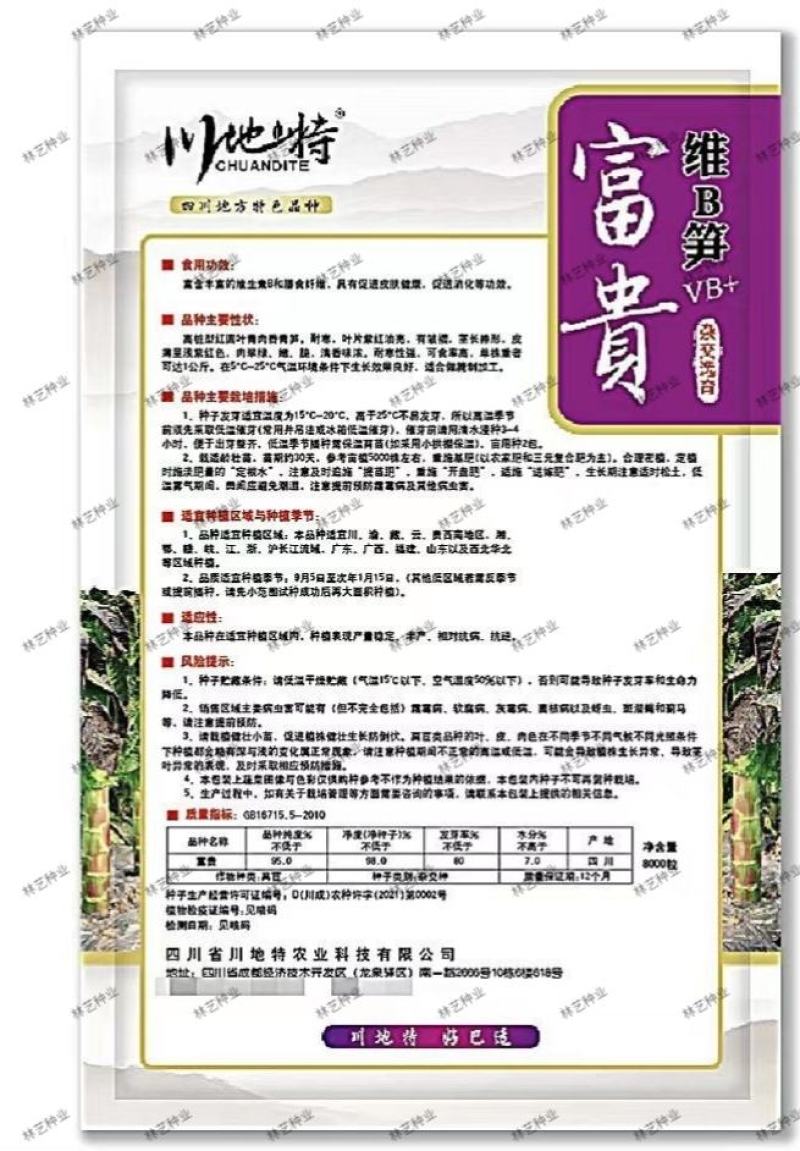川地特富贵莴笋种籽圆叶红紫皮青肉耐寒秋春冬季天种植