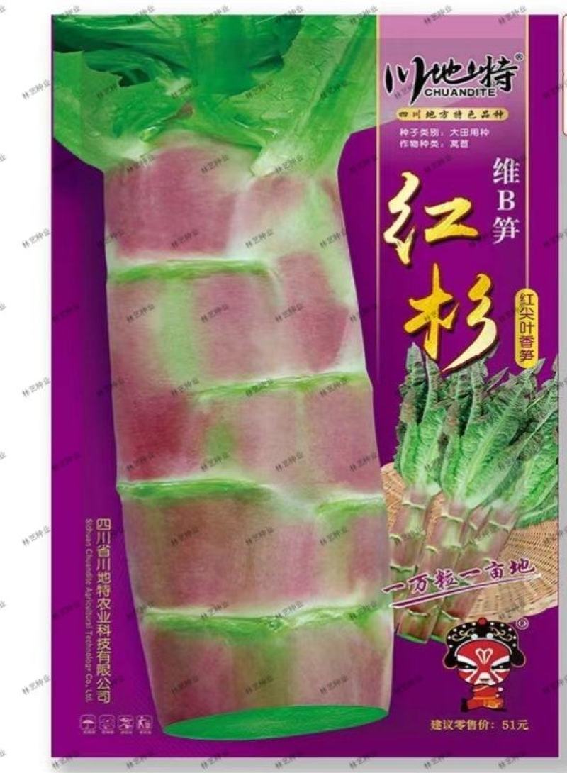川地特红杉莴苣菜子圆叶红紫皮青肉耐寒春秋冬季可种大田蔬菜