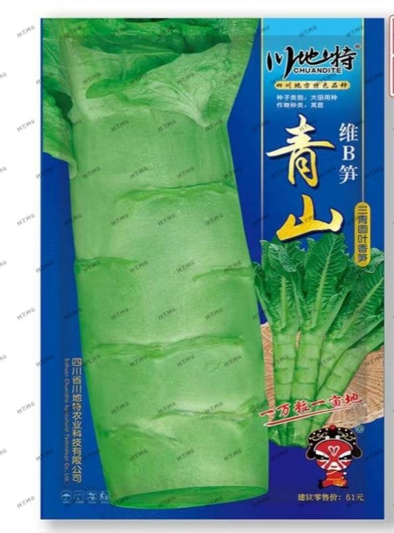 川地特青山维B笋种子香莴苣菜子圆叶绿皮皮青肉耐寒春秋种植