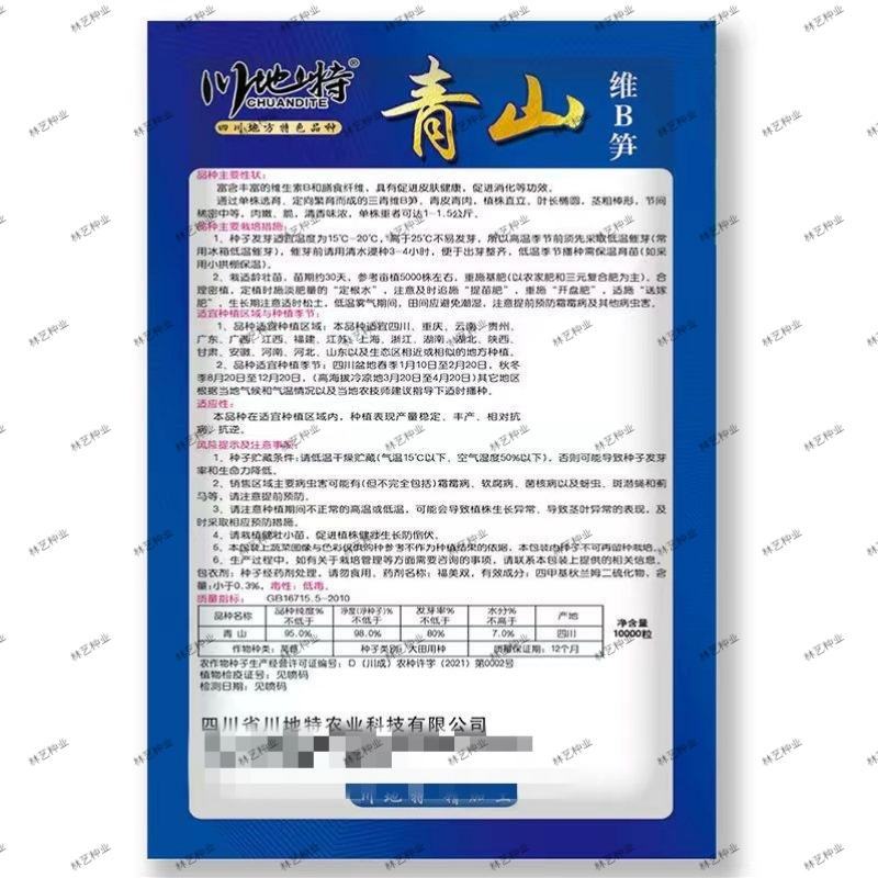 川地特青山维B笋种子香莴苣菜子圆叶绿皮皮青肉耐寒春秋种植