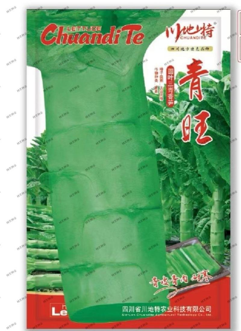 青旺莴笋种子青皮绿肉香莴笋种子高产田园春秋冬播种蔬菜种籽