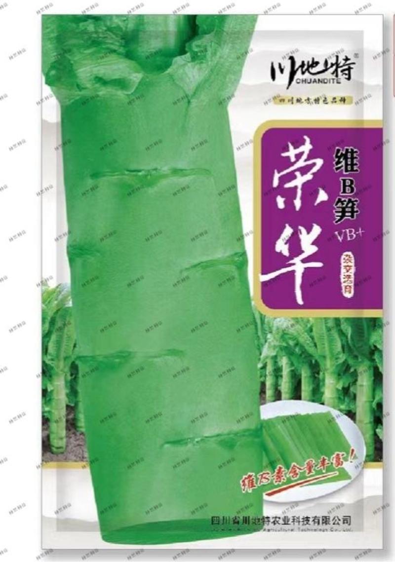 川地特荣华维B笋香莴苣菜子圆叶绿皮青肉耐寒秋春种植