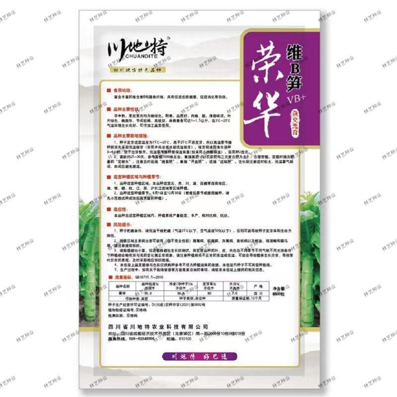 川地特荣华维B笋香莴苣菜子圆叶绿皮青肉耐寒秋春种植