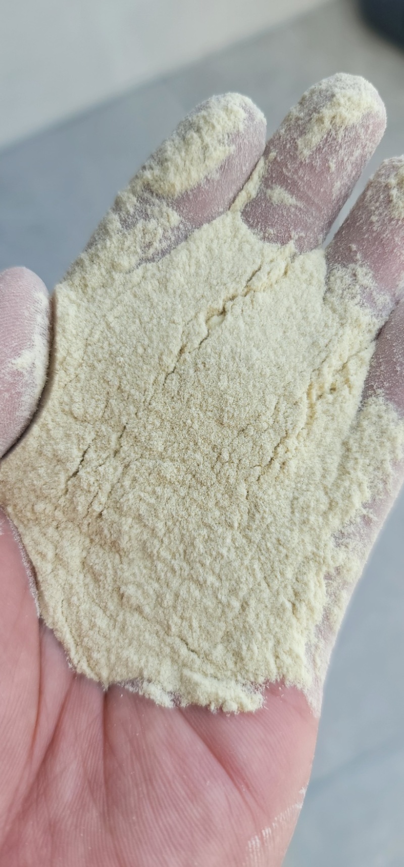 竹粉