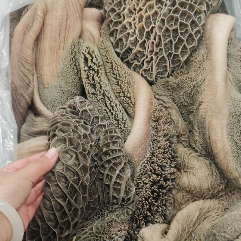 纯干精修无油西门塔尔大公牛大肚