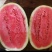 大金花西瓜