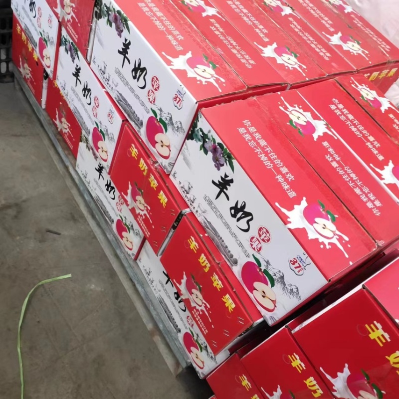 山西临猗县纸加膜红富士，羊奶苹果，大量供应