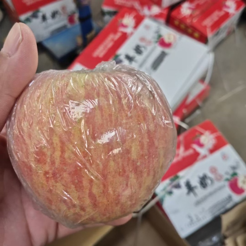 山西临猗县纸加膜红富士，羊奶苹果，大量供应