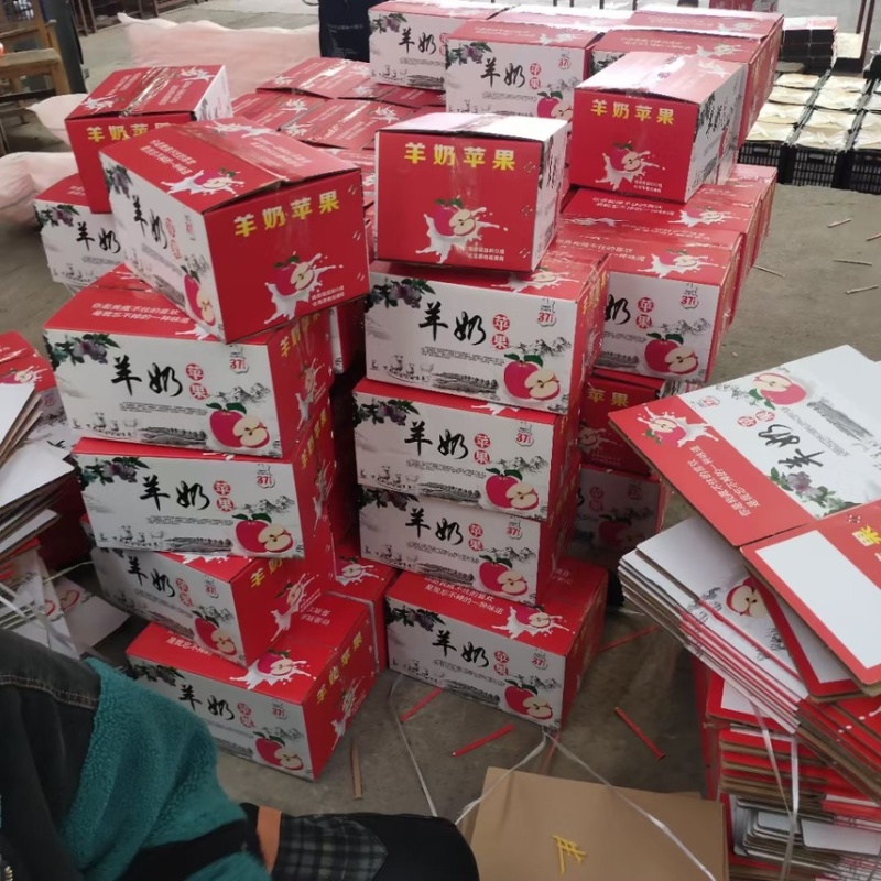 山西临猗县纸加膜红富士，羊奶苹果，大量供应