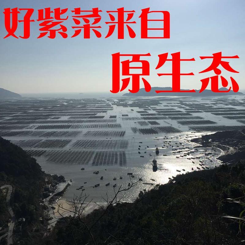 特价霞浦头水紫菜、福建特产野生天然紫菜干货园型散装紫菜包