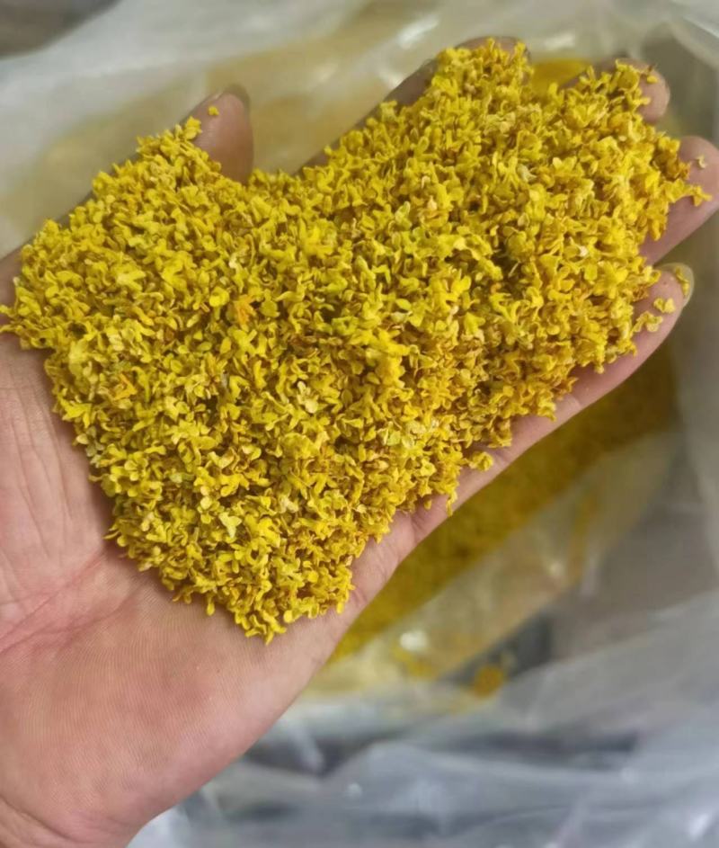 特级桂花一手货源批发