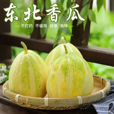 顺丰一件代发京蜜香瓜东北甜瓜支持电商主播