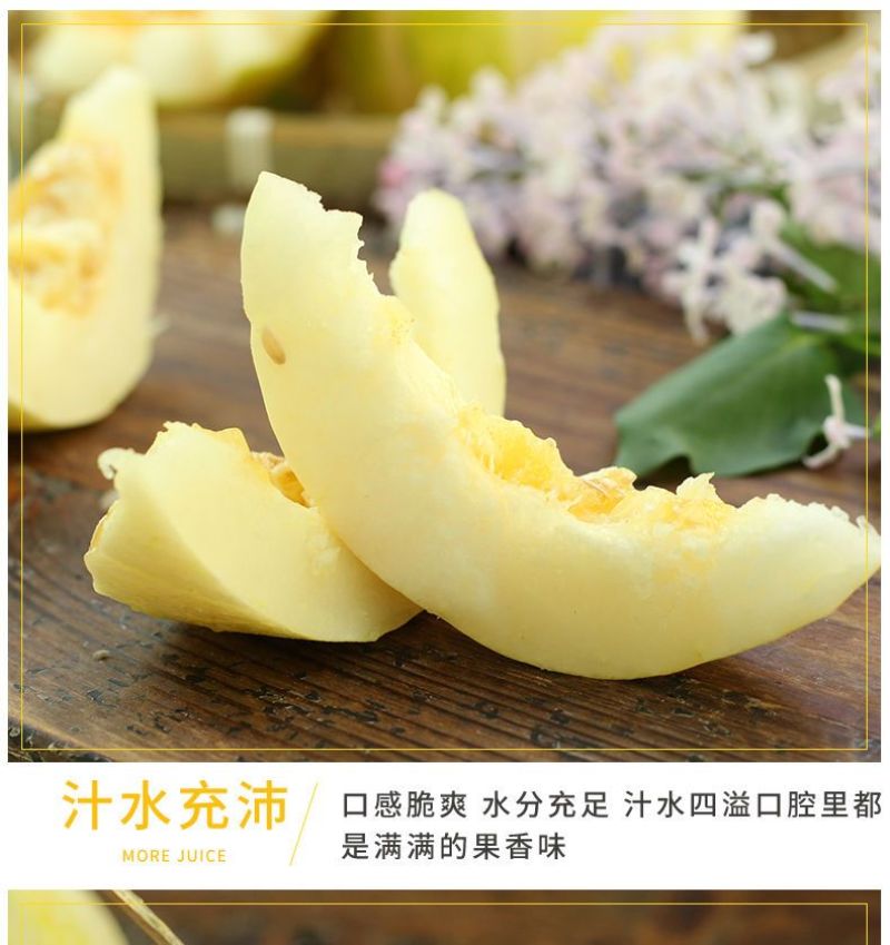 顺丰一件代发京蜜香瓜东北甜瓜支持电商主播