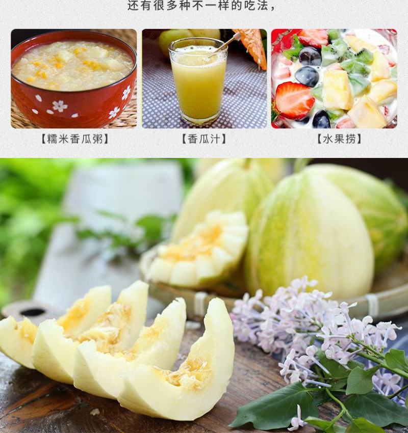 顺丰一件代发京蜜香瓜东北甜瓜支持电商主播