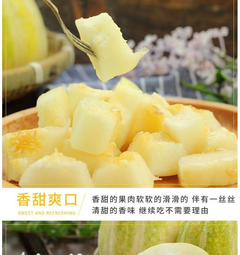 顺丰一件代发京蜜香瓜东北甜瓜支持电商主播