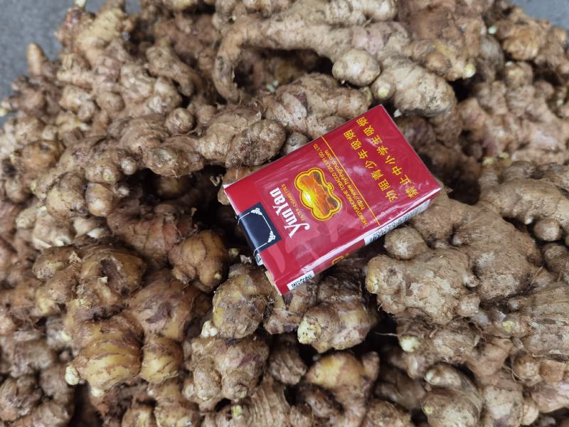 云南小黄姜姜种，电商…欢迎个位老板来看货