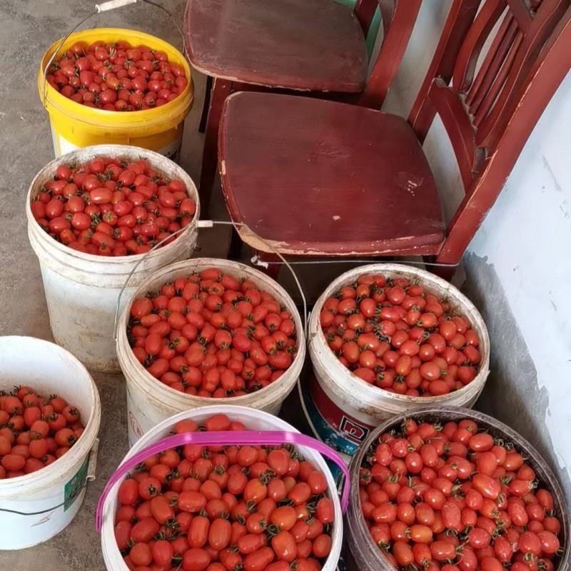 小千禧