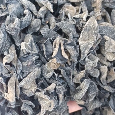 【精品】东北产地直供黑木耳品质保障产地直发
