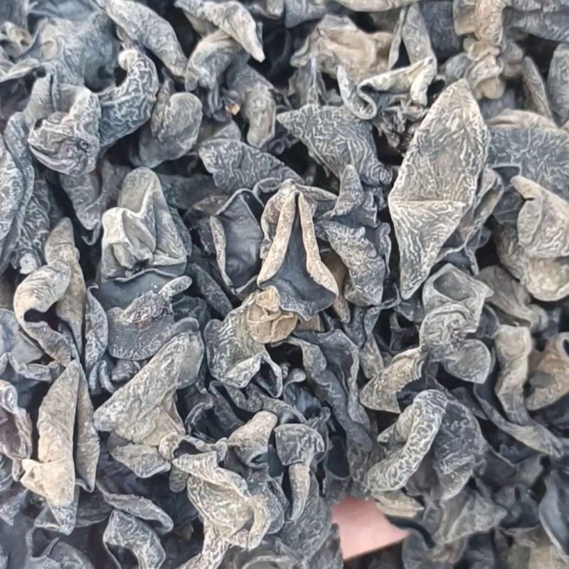 【精品】东北产地直供黑木耳品质保障产地直发