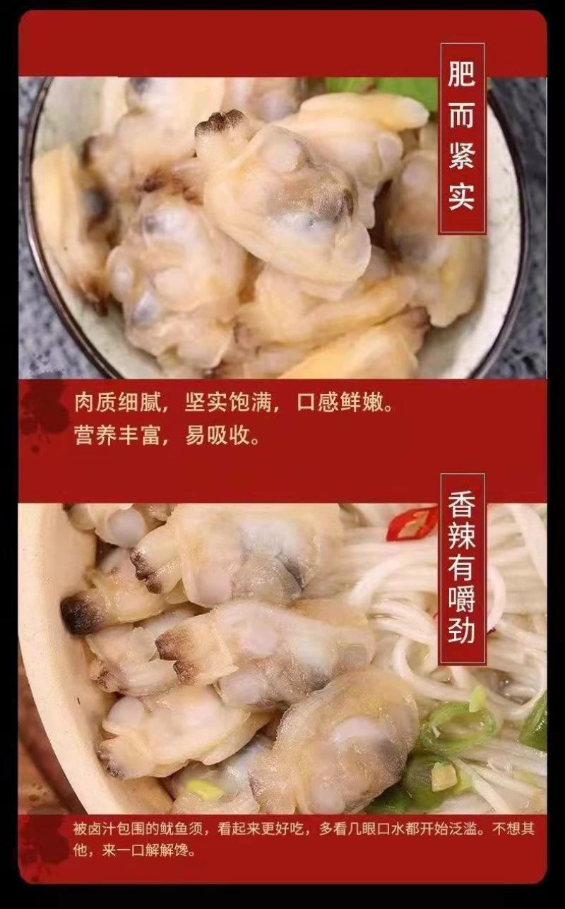 蛤蜊肉花甲鲜活花蛤黄蚬子肉花甲肉新鲜贝类文蛤花螺海螺海鲜