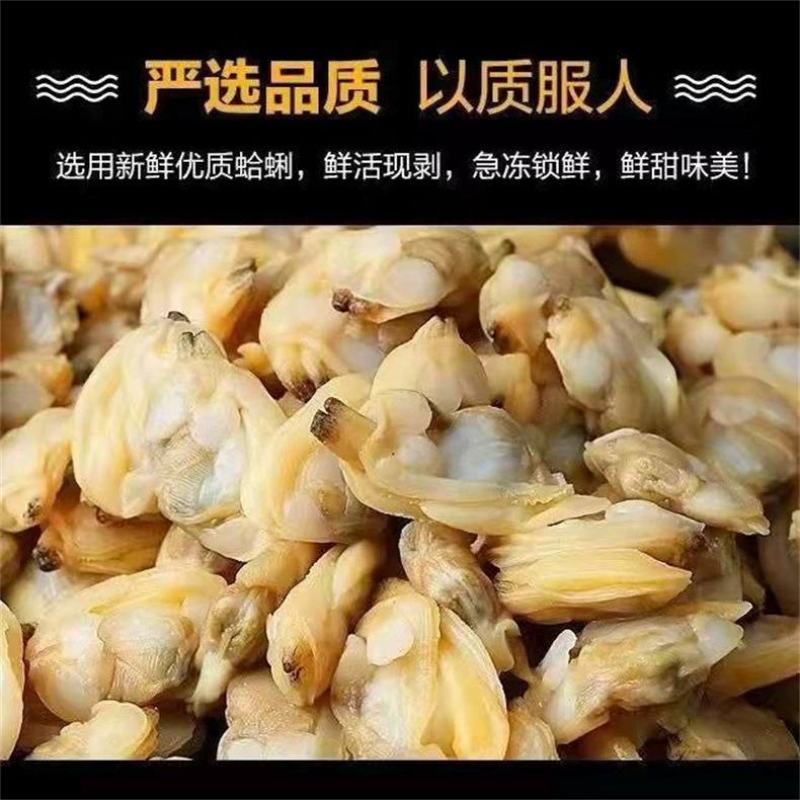 蛤蜊肉花甲鲜活花蛤黄蚬子肉花甲肉新鲜贝类文蛤花螺海螺海鲜